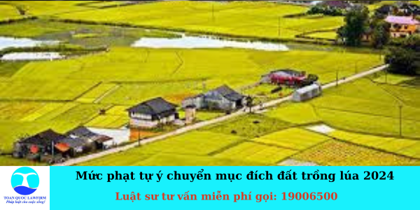 phạt tự ý chuyển mục đích đất trồng lúa bao nhiêu tiền