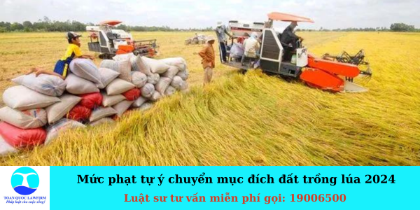 xử phạt hành vi tự ý chuyển mục đích đất trồng lúa